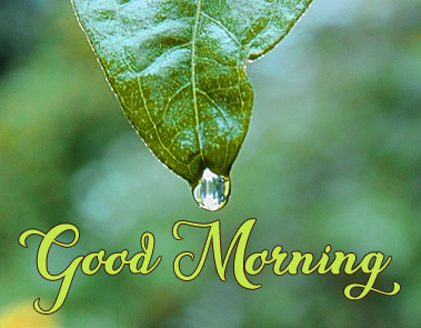 Beautiful Nature Good Morning Wallpaper Free Download 