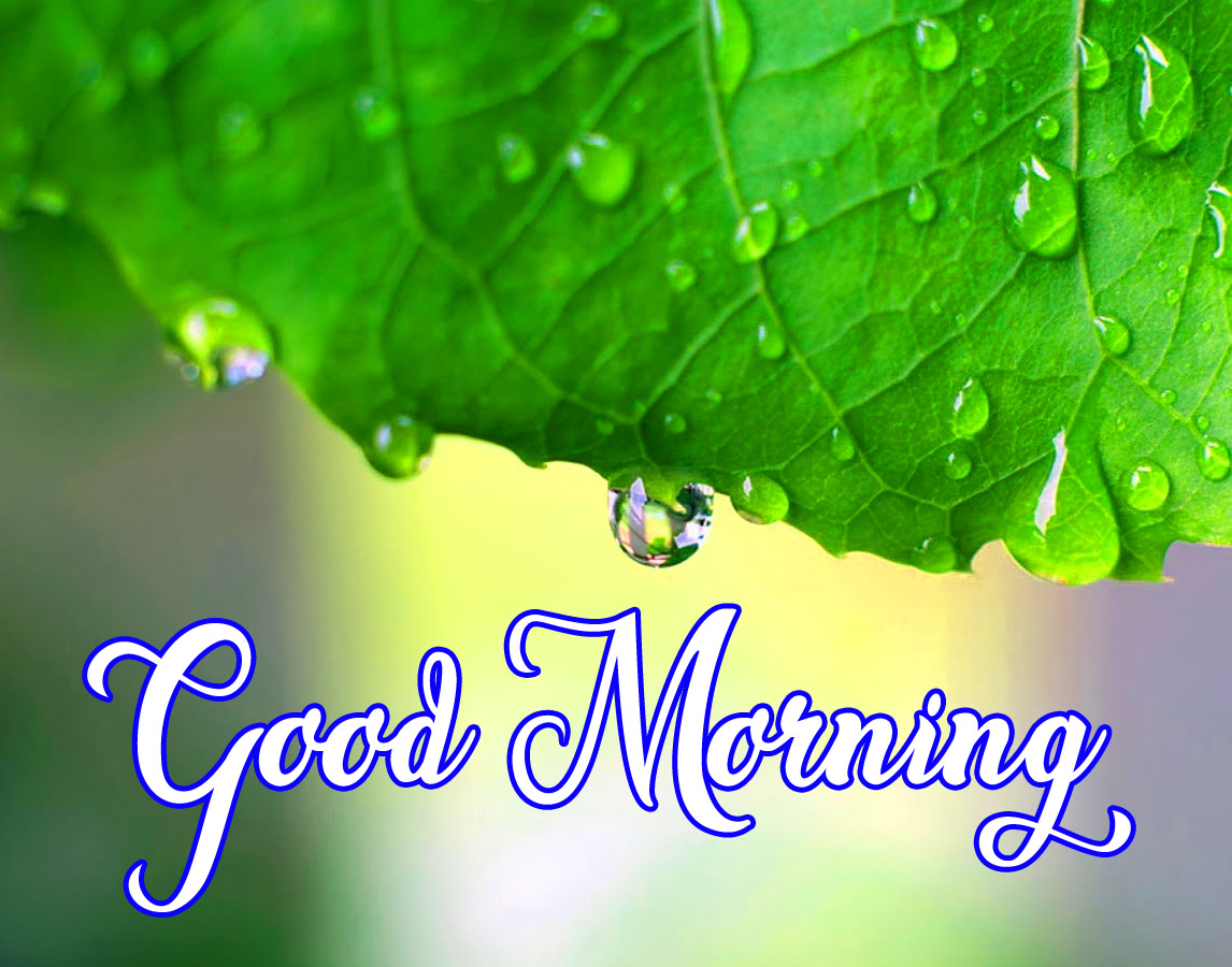 Beautiful Nature Good Morning Wallpaper Download 