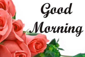Free Good Morning Images HD for Pinterest & Facebook