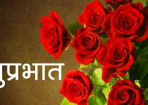 217+ Red Rose Suprabhat Images HD For Girlfriend Download