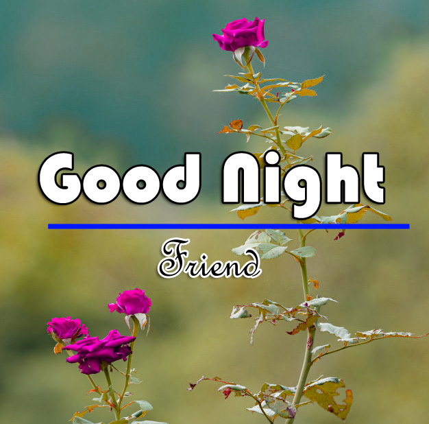 Good Night Images Pics Free Download 
