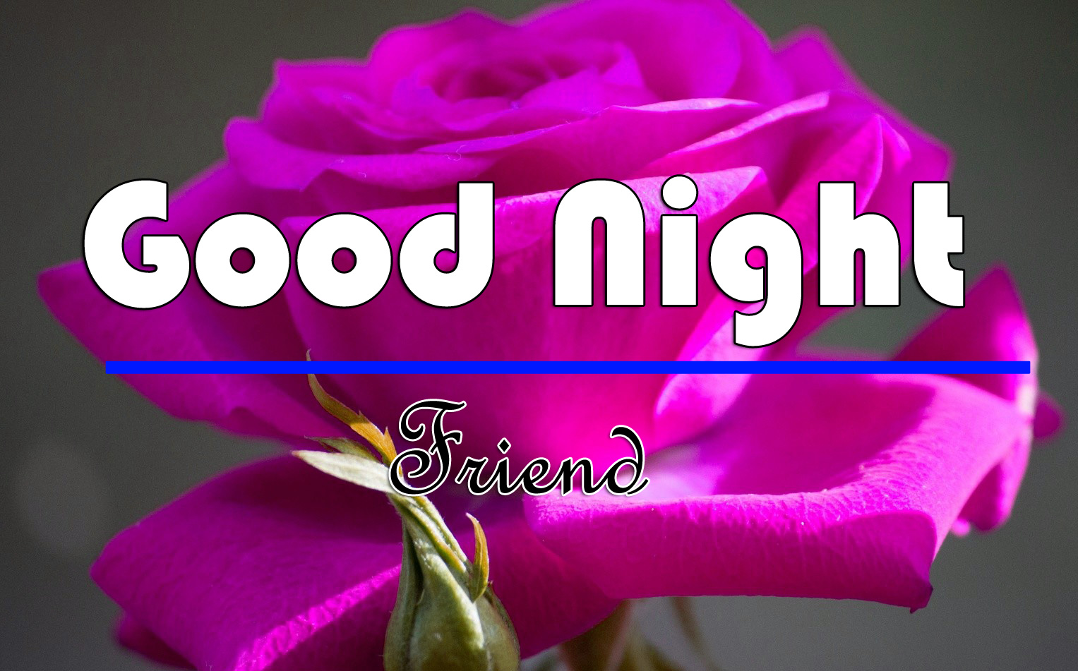 Good Night Images Wallpaper With Rose 