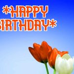 Happy Birthday Wishes Wallpaper Free Download