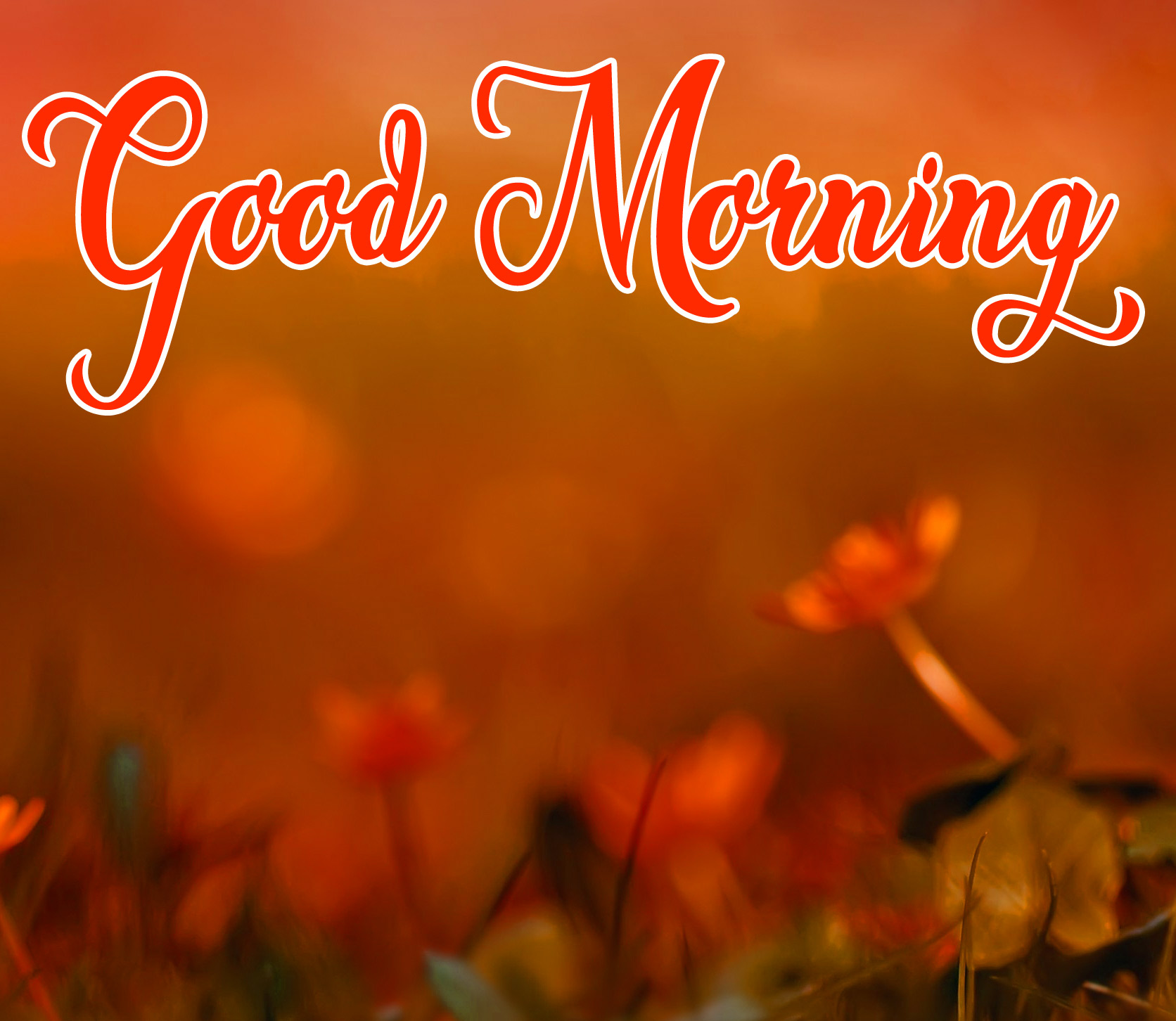High Quality Good Morning Wallpaper Download 