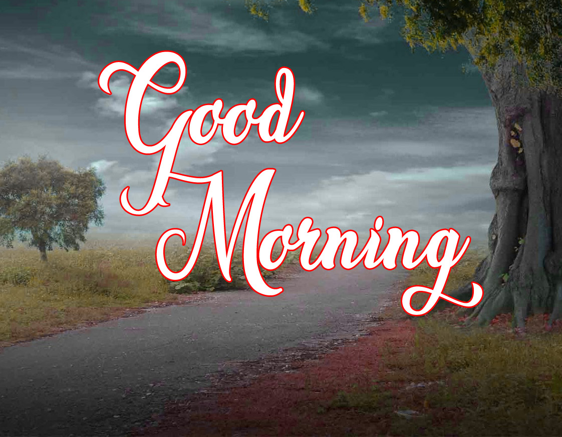Free High Quality Good Morning Wallpaper Download 