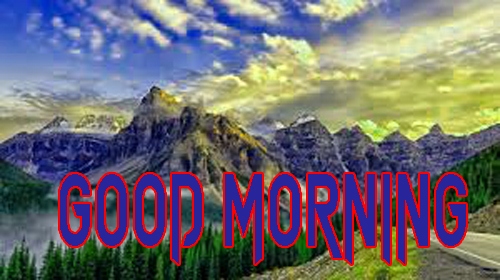 Free Latest Good Morning Images Wallpaper Download 