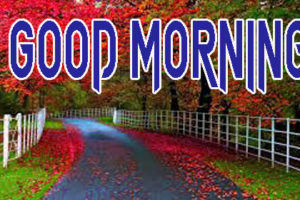 Latest Good Morning Images HD Free Download