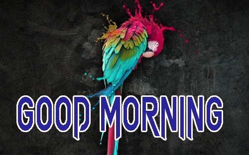 Free Latest Good Morning Images Wallpaper Download 
