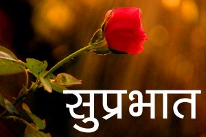 254+ Red Rose Suprabhat Images HD Download