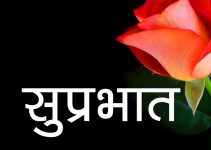 352+ Red Rose Suprabhat Images Pics for Wife