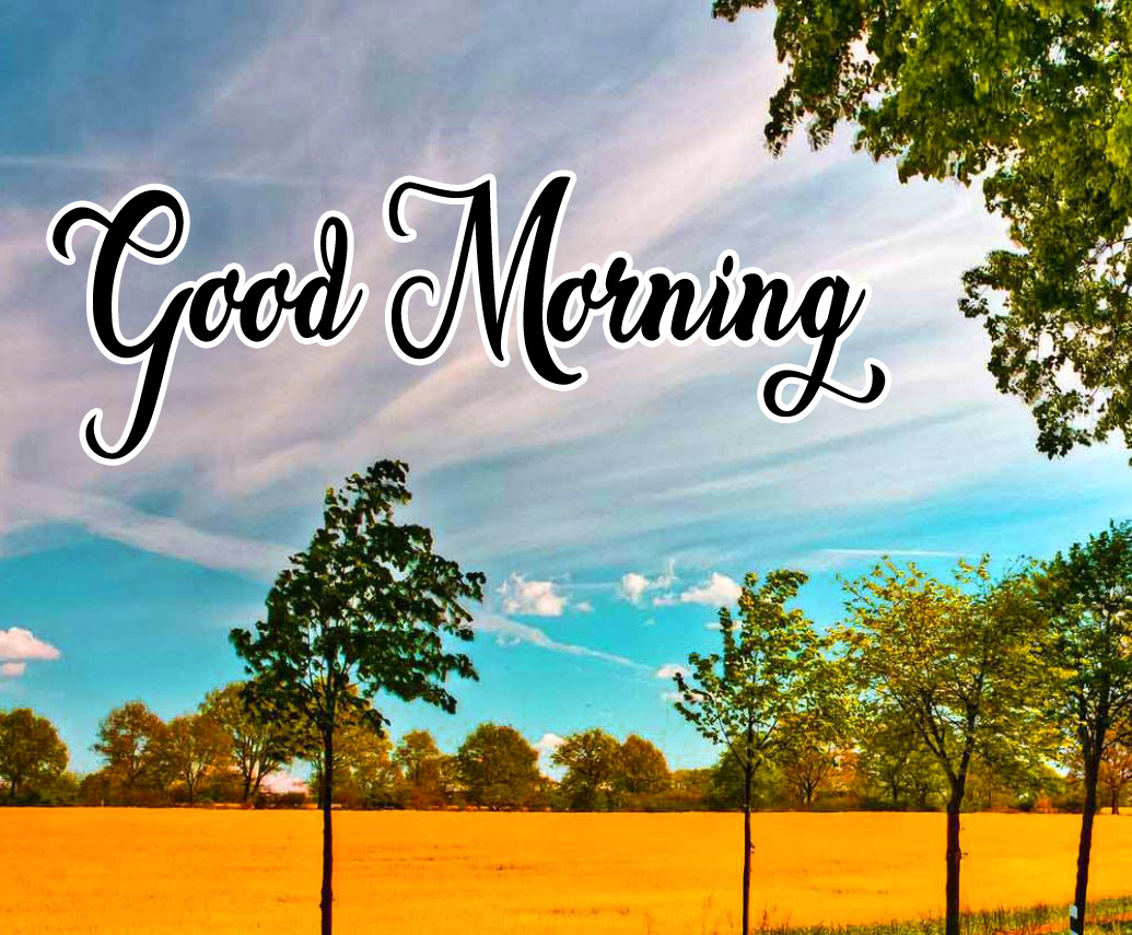 Very Beautiful Good Morning Images Download With Nature