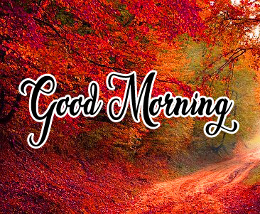Latest Free Very Beautiful Good Morning Pics Download 