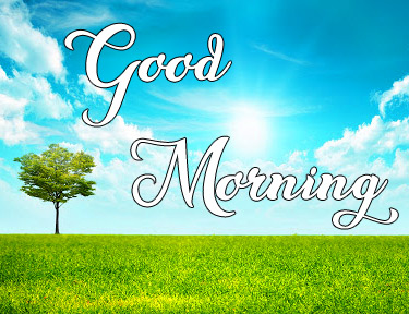 Very Beautiful Good Morning Pics New Download 