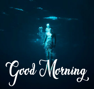 Free Very Beautiful Good Morning Wallpaper Download 