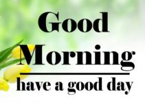 Good Morning Images Pictures HD Free Download