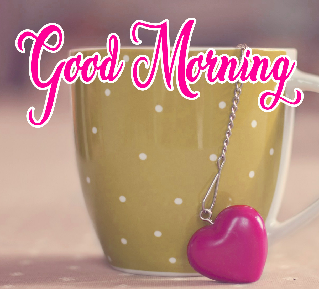 Free High Quality Good Morning Photo Download 