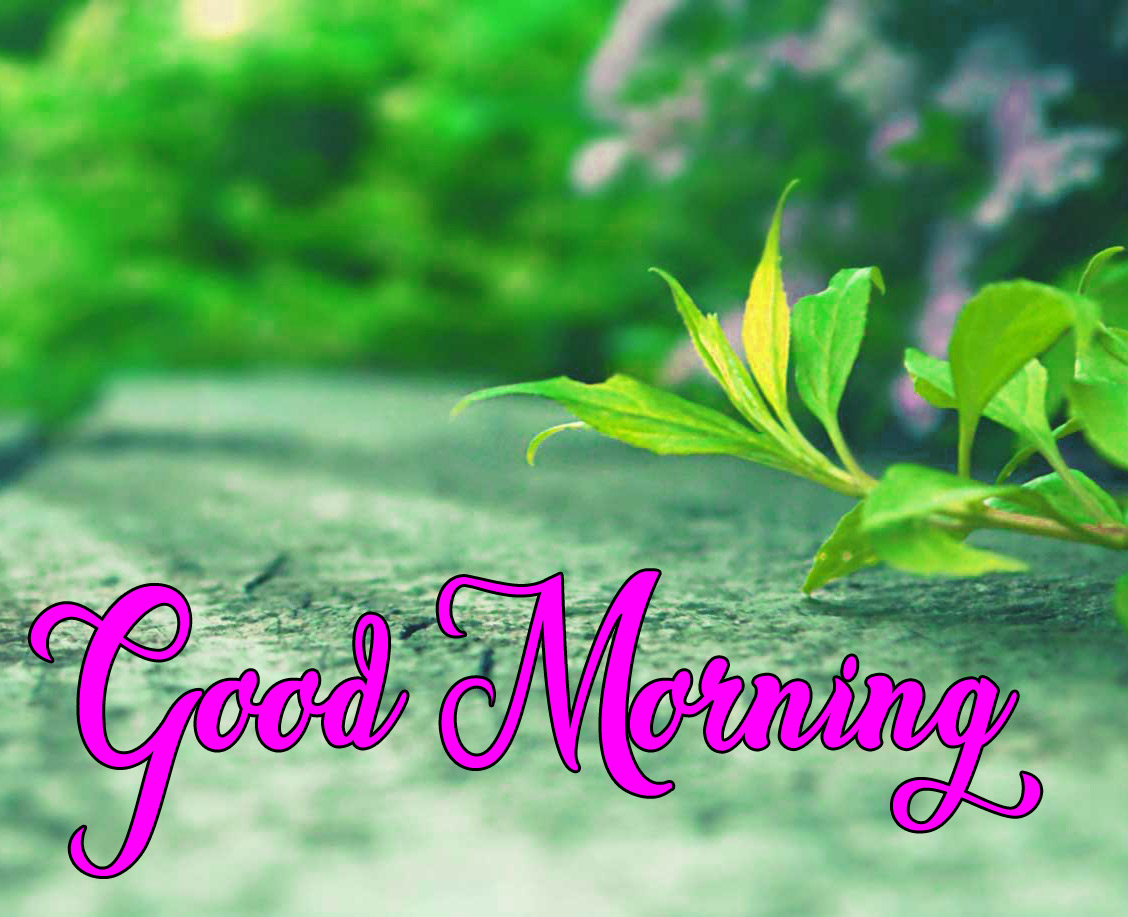 High Quality Good Morning Images HD Download