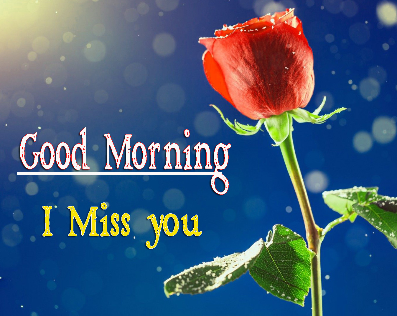 Best Friend Good Morning Pics download With I miss you 
