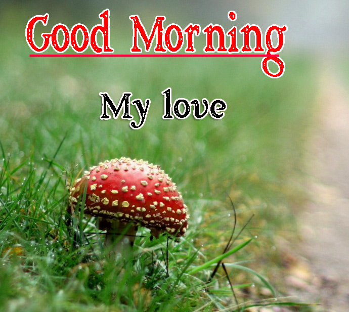 Free Special Friend Good Morning Wallpaper Download 