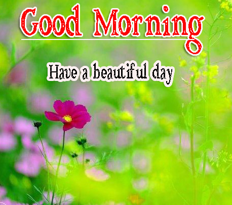 Special Friend Good Morning Pictures Download 