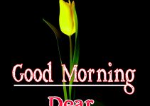 874+ Good Morning Images Download for Best Friend