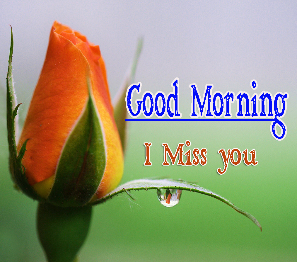 Special Friend Good Morning Images for Mobile 
