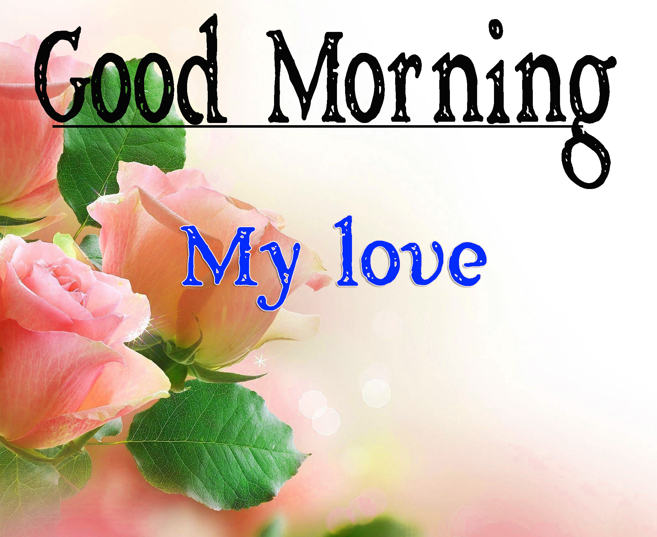 Special Friend Good Morning Pics Free Download 
