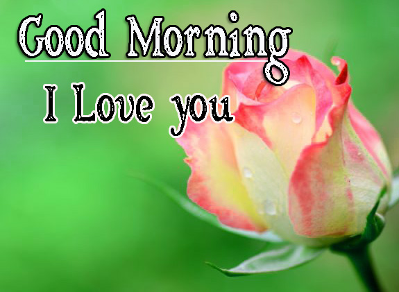 Special Friend Good Morning Photo Download 