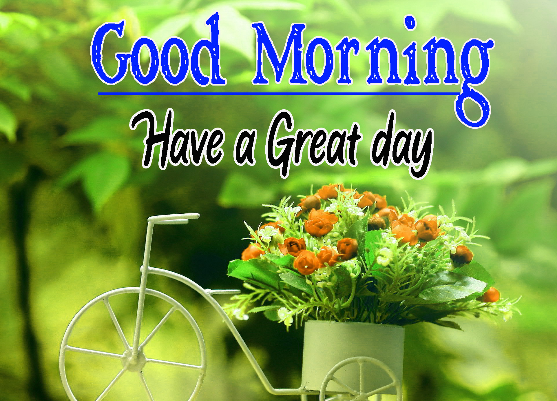 Free Full HD Special Friend Good Morning Pics Download