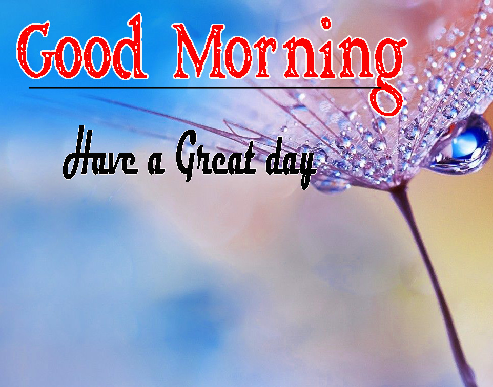 Full HD Special Friend Good Morning Pics Download Free