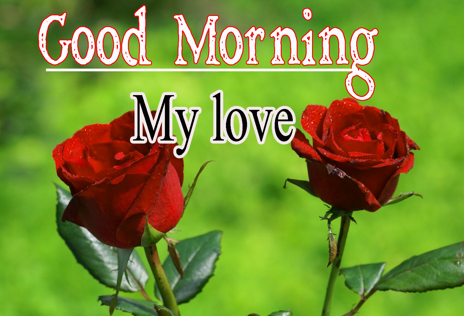 Latest Full HD Special Friend Good Morning Pics Download 