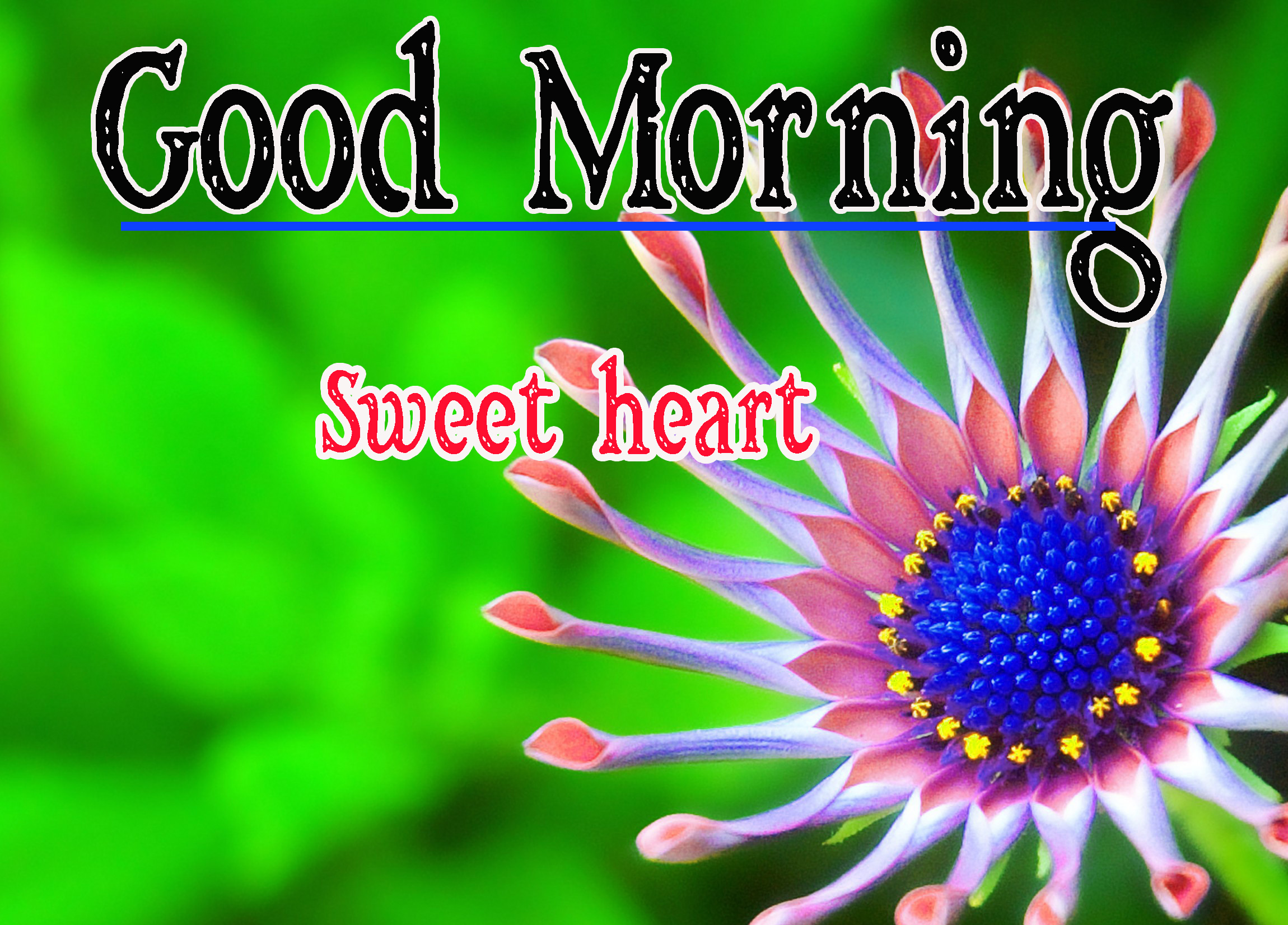 Full HD Special Friend Good Morning Pic Download Free