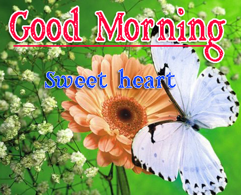 Full HD Special Friend Good Morning Pictures Download