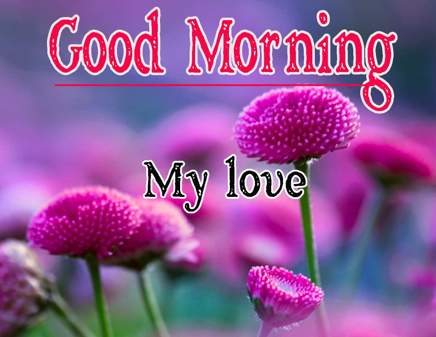 Full HD Special Friend Good Morning Pics Download Free