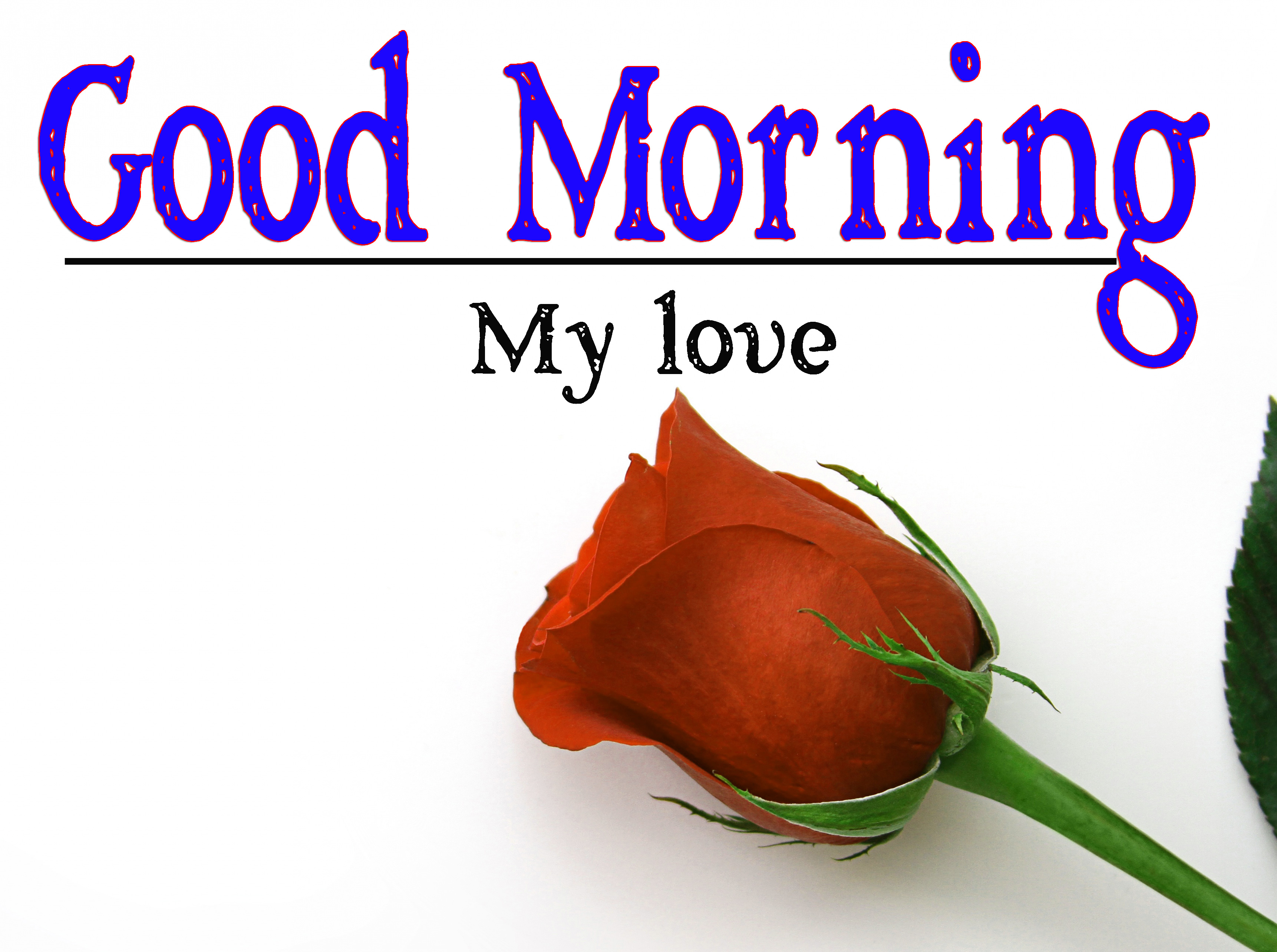 Full HD Special Friend Good Morning Pictures New Download 
