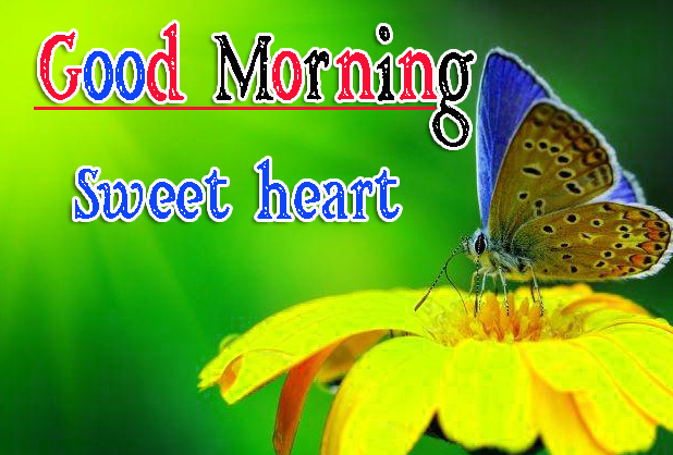 Full HD Special Friend Good Morning Pics Download 