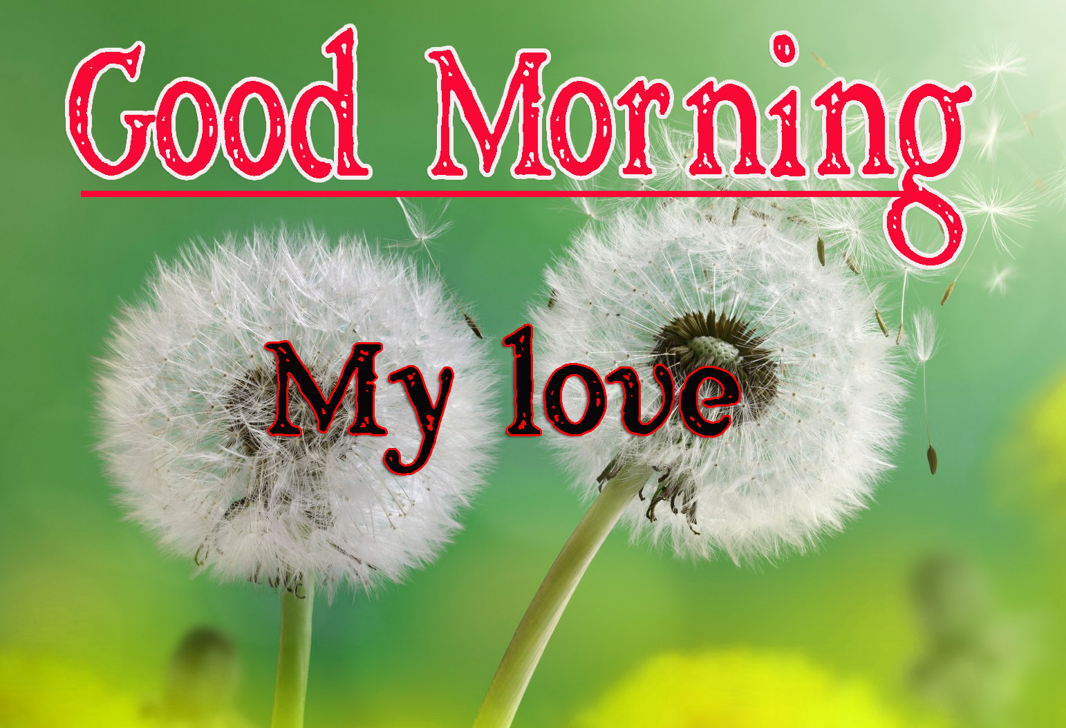 Full HD Special Friend Good Morning Pics Download Free 