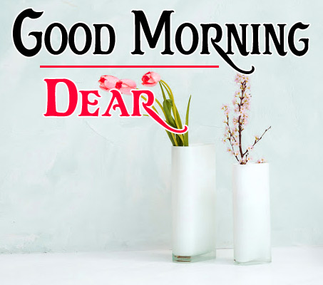 Flower Good morning Images HD Download Free 