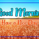 Latest Free good morning Pics Images Download