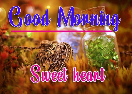 Free Good Morning Images Wallpaper Download Desi Love Couple Pics Download 