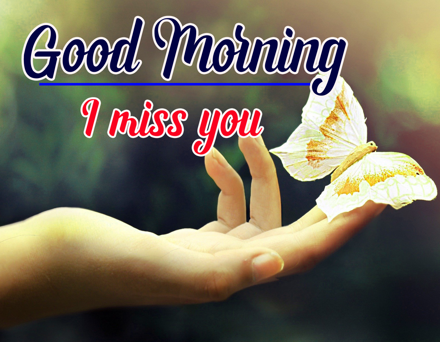 Love Good Morning Pictures Pics Download 
