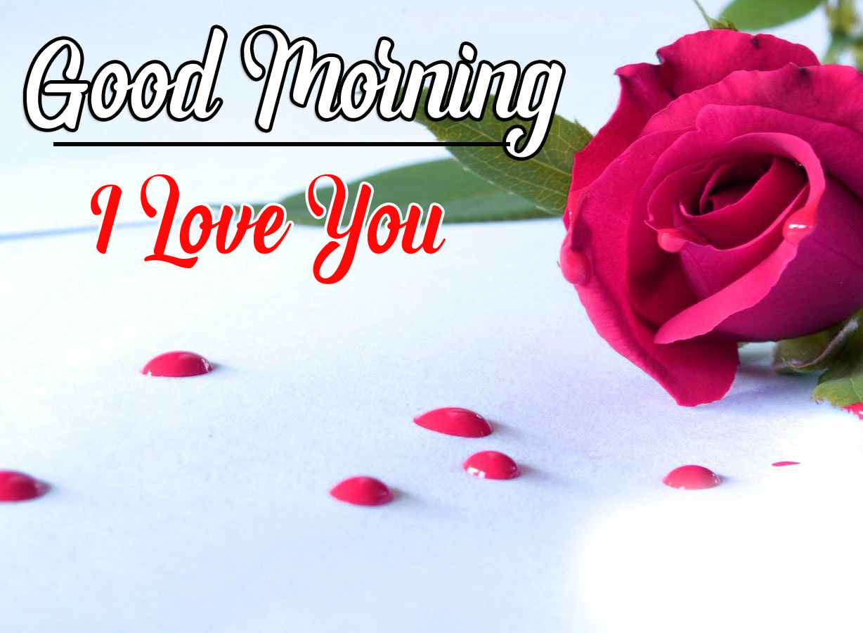 Good Morning Images With Red Rose 