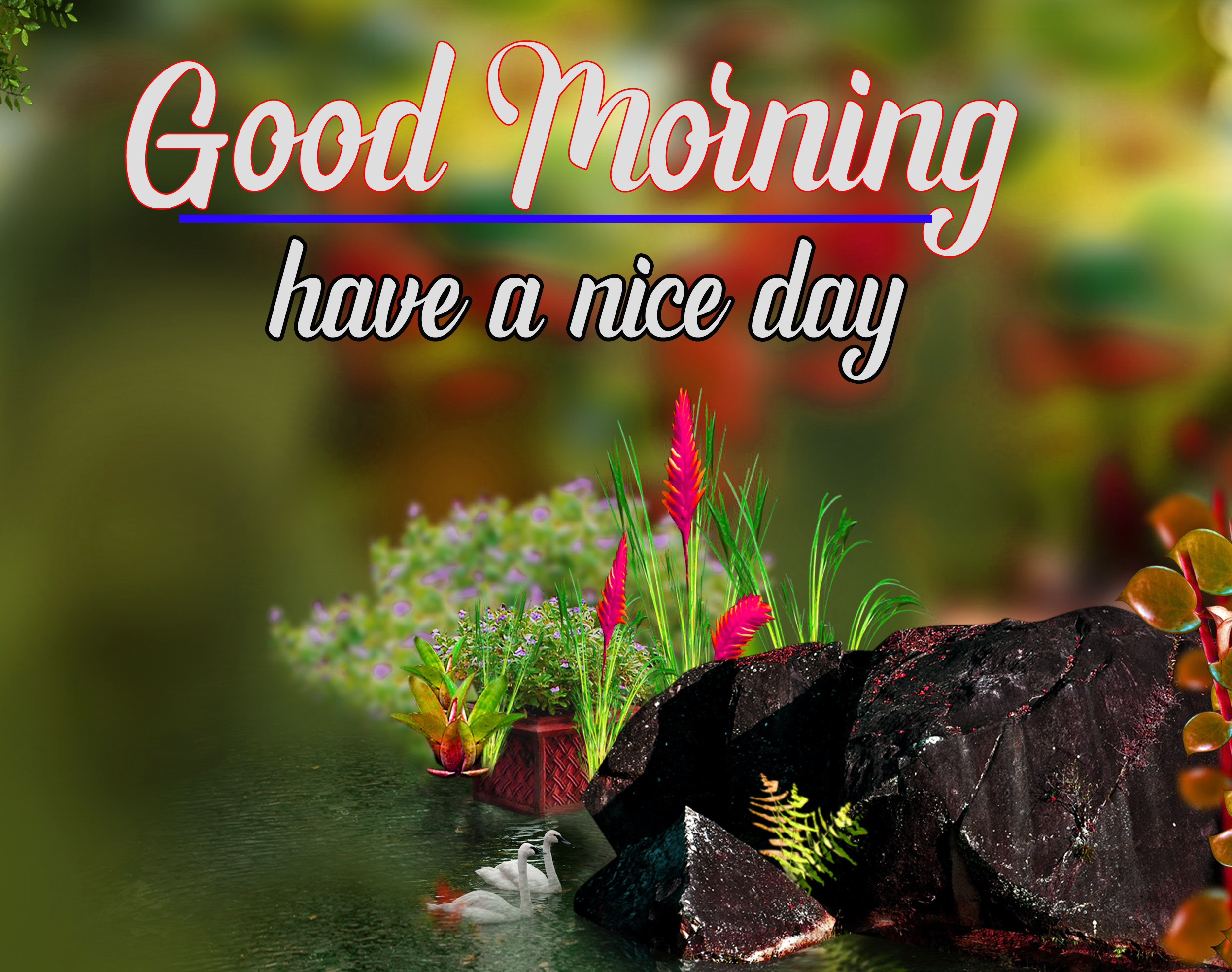 Good Morning Pictures Pics Free Download 