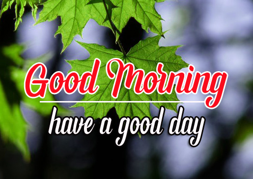 Nature Free Good Morning Images Download 