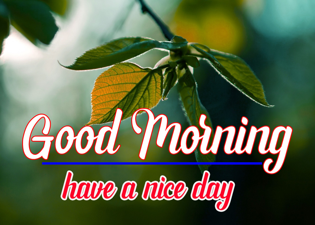 Free Best Good Morning Images Download 