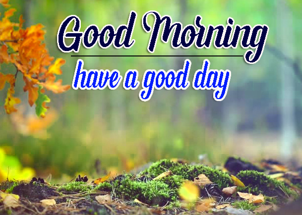 Free Good Morning Pictures Pics Download 