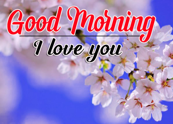 1080p Good Morning Images Wallpaper for Whatsapp