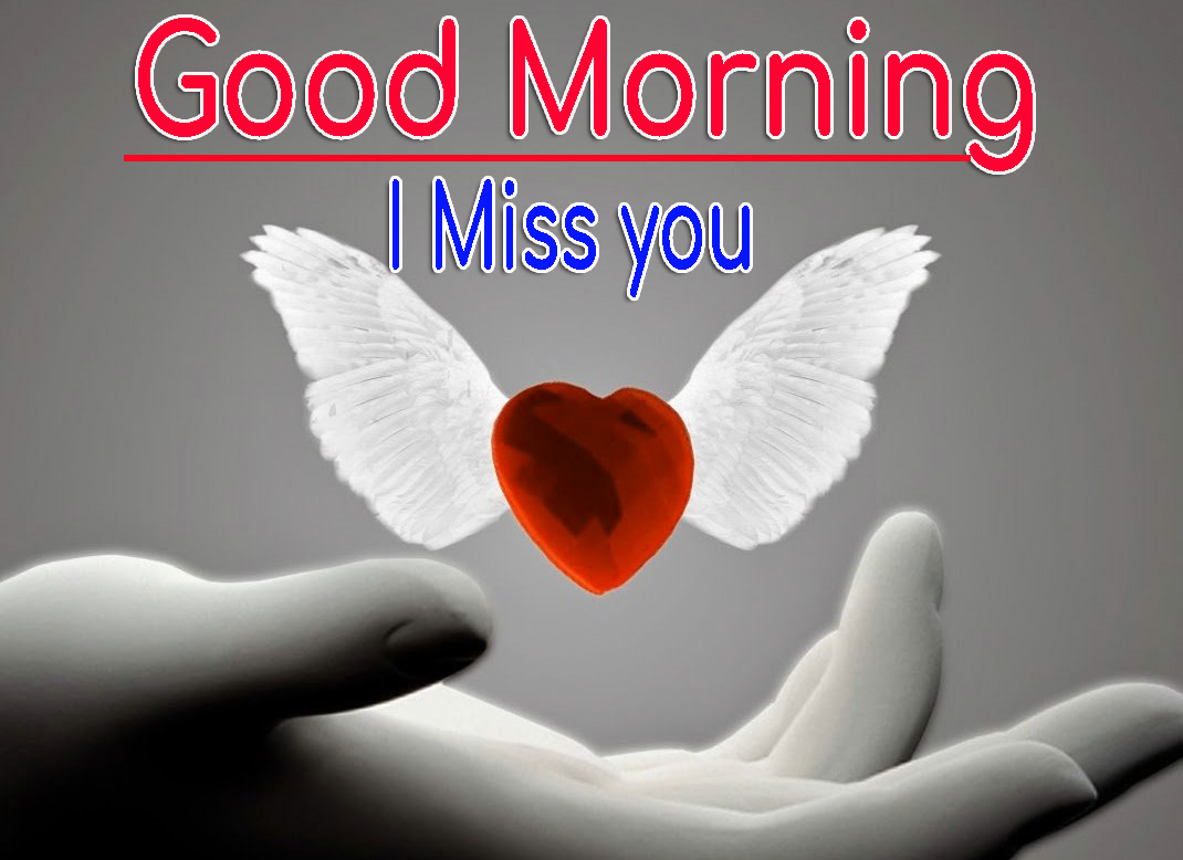Lover Good Morning Wishes Wallpaper Download 