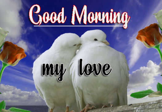 Lover Good Morning Wishes Photo Pics Download Free 