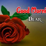 Morning Wishes Images With Red Rose